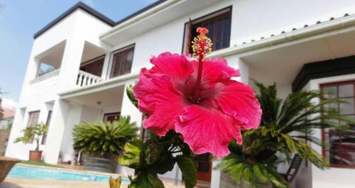Helderberg Guesthouse 