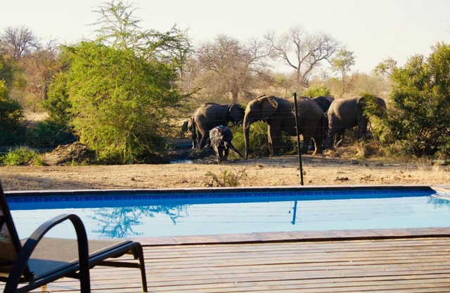 Masodini Game Lodge