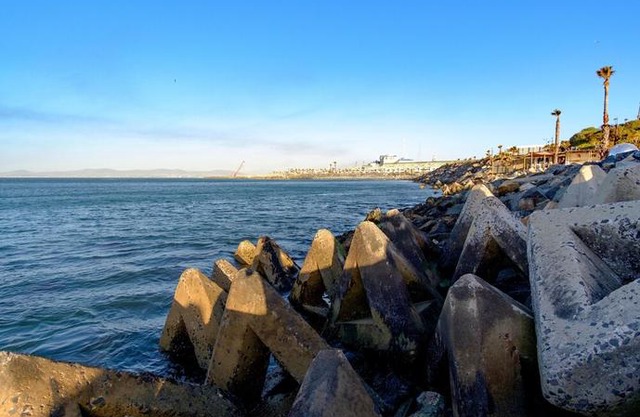 Mouille Point Apartment