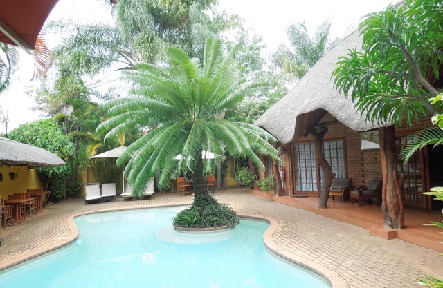 Trees Lodge 