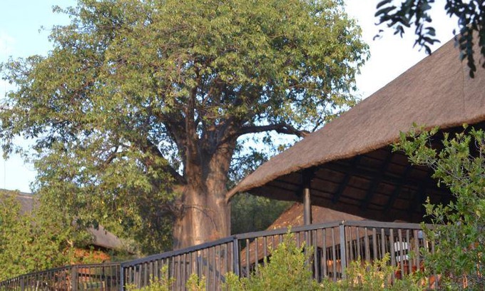 Musina House | 16 m² Farmhouse ∙ 4 guests