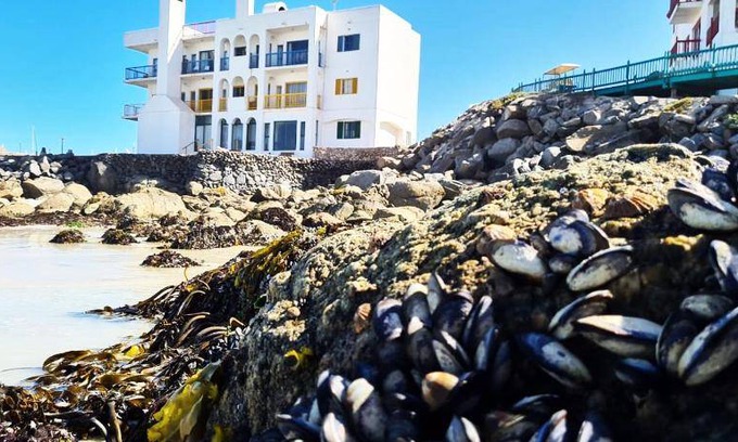 Mykonos Apartment | 187 m² Apartment ∙ 2 bedrooms ∙ 127 guests