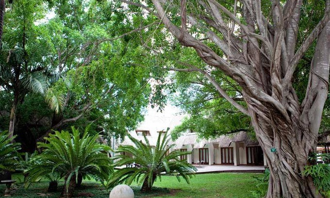 UPhongolo Bed & Breakfast | 20 m² Bed and breakfast ∙ 127 guests