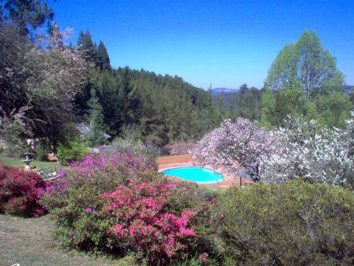 Haenertsburg Resort | 200 m² Resort ∙ 3 bedrooms ∙ 6 guests