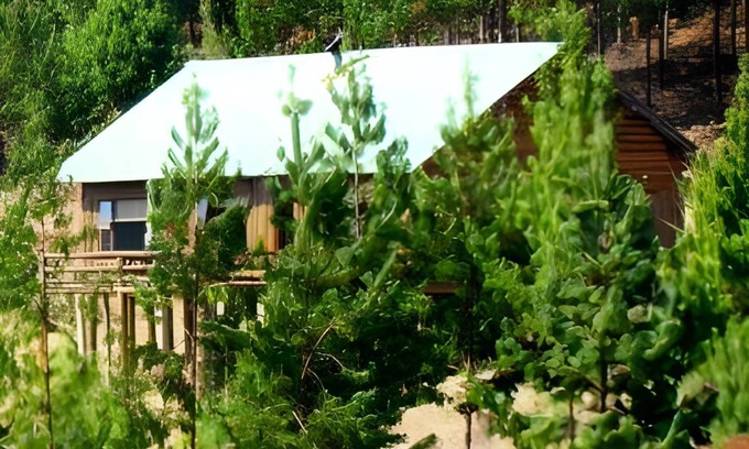 Haenertsburg Bed & Breakfast | 210 m² Bed and breakfast ∙ 4 bedrooms ∙ 10 guests