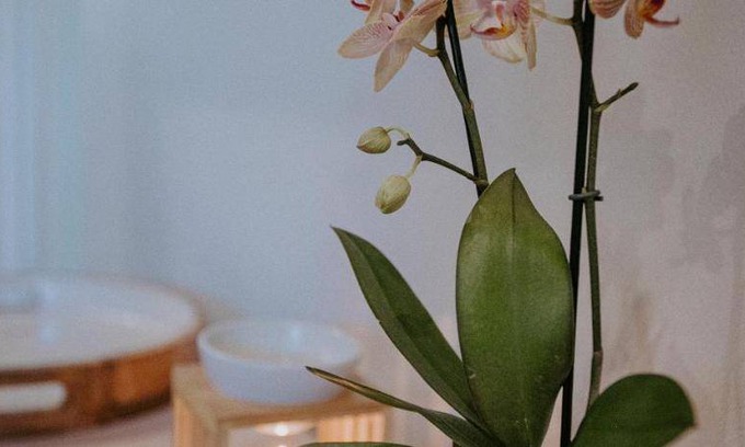 Berea Bed & Breakfast | 25 m² Bed and breakfast ∙ 4 guests