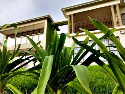 Port St Johns Cabin | 28 m² Lodge ∙ 3 guests