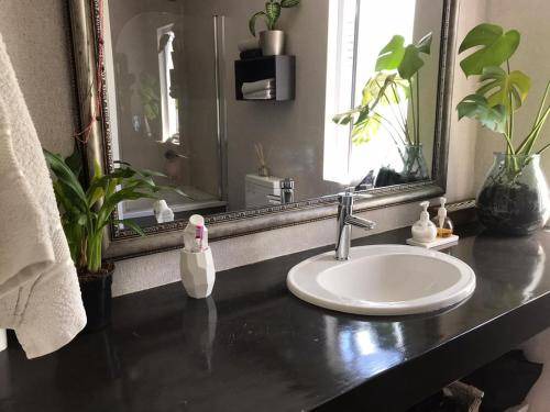 Hunter's Home Bed & Breakfast | 30 m² Bed and breakfast ∙ 1 bedroom ∙ 2 guests