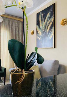Mkhuhlu Apartment | 35 m² Apartment ∙ 1 bedroom ∙ 2 guests