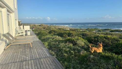 Yzerfontein Resort | 350 m² Resort ∙ 4 bedrooms ∙ 13 guests