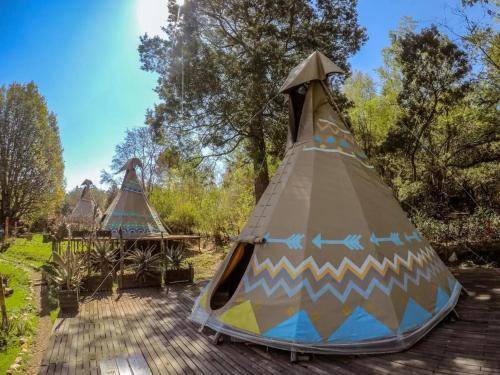 Hogsback Hotel | 36 m² Hotel ∙ 2 guests