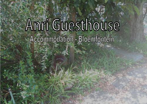 Bloemfontein Bed & Breakfast | 40 m² Bed and breakfast ∙ 2 bedrooms ∙ 6 guests