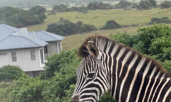 Kenton on Sea House | 5 Bedroom Imbabala Eco-Lodge nestled in a peaceful estate with stunning views