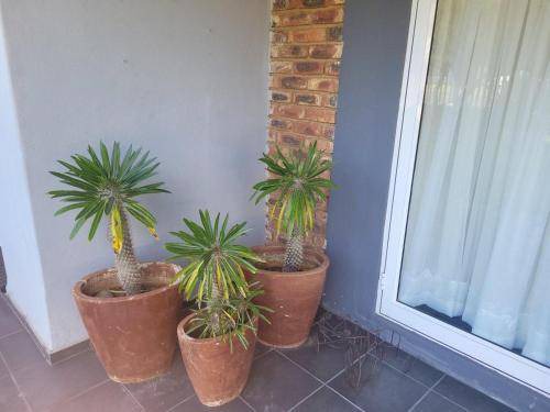 Potchefstroom Apartment | 50 m² Apartment ∙ 4 guests
