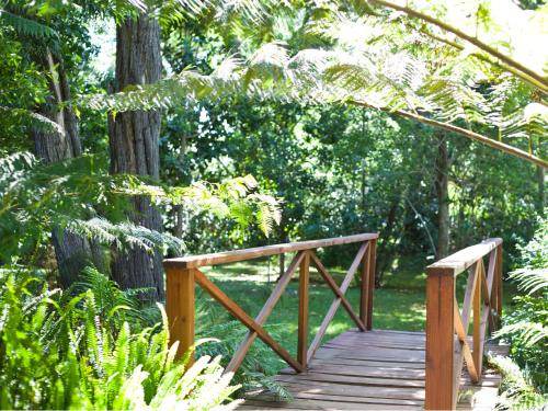 Storms River Bed & Breakfast | 50 m² Bed and breakfast ∙ 4 guests
