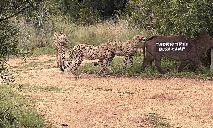 Hammanskraal Resort | 50 m² Resort ∙ 8 guests