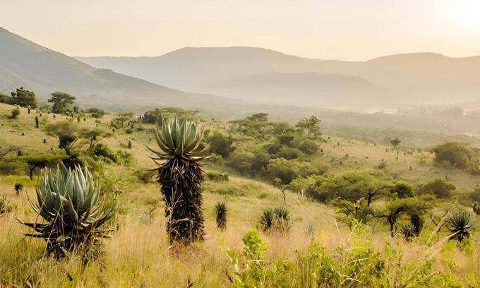 Waterval Boven Resort | 60 m² Resort ∙ 2 bedrooms ∙ 6 guests