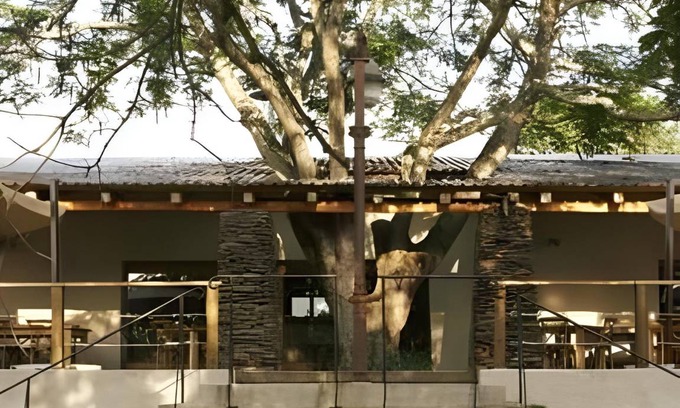 Hazyview Resort | 70 m² Resort ∙ 3 bedrooms ∙ 127 guests