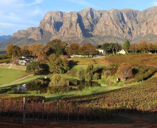 Cape Winelands Bed & Breakfast | 75 m² Bed and breakfast ∙ 2 bedrooms ∙ 6 guests