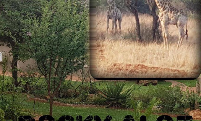 Krugersdorp Cabin | 85 m² Lodge ∙ 2 bedrooms ∙ 4 guests