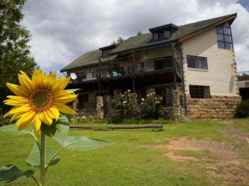 Clarens Apartment | Akzente