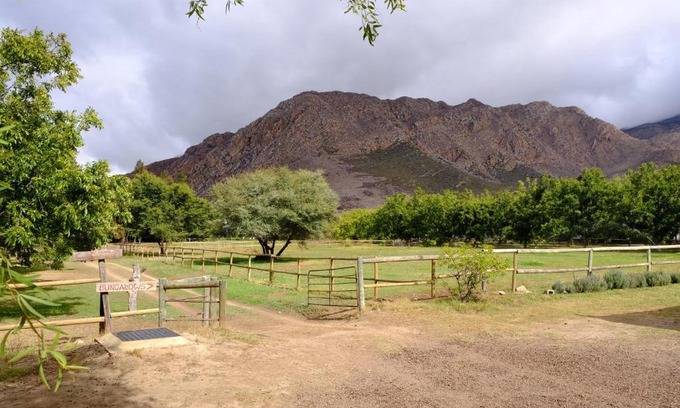 Montagu Hostel | De Bos Backpackers