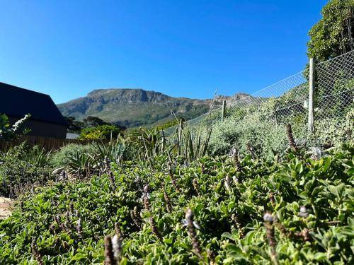 Noordhoek House | House ∙ 1 bedroom ∙ 2 guests