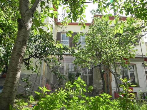 Konak Hostel | Lotus Garden Hostel Izmir