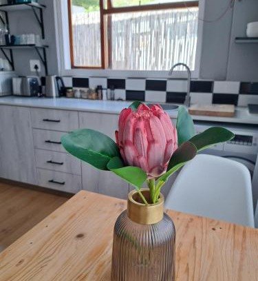 Muizenberg House | Mons Pes in Lakeside