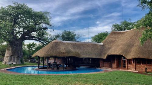Musina Cabin | Munati B&B