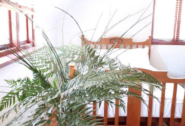 Newlands Resort | Private room ∙ 1 guest