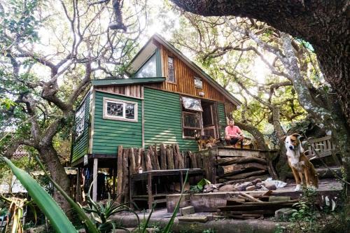 Port Alfred Hostel | Shaka Surf School and Backpackers