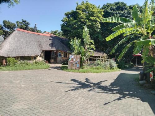 Kentani Hostel | Yellowwood Forest Eco Retreat