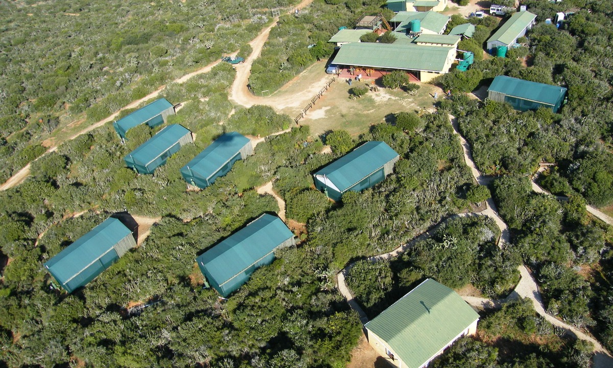 Addo Hotel | Kudu Ridge Game Lodge