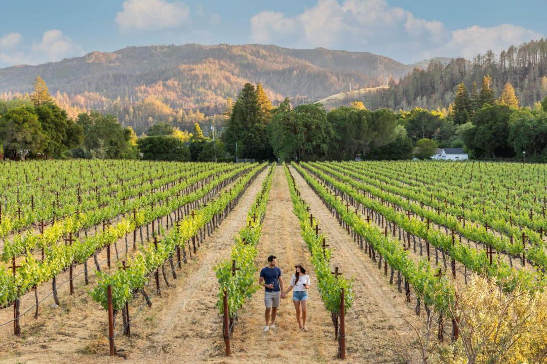 St. Helena Resort | Alila Napa Valley, a Hyatt Resort