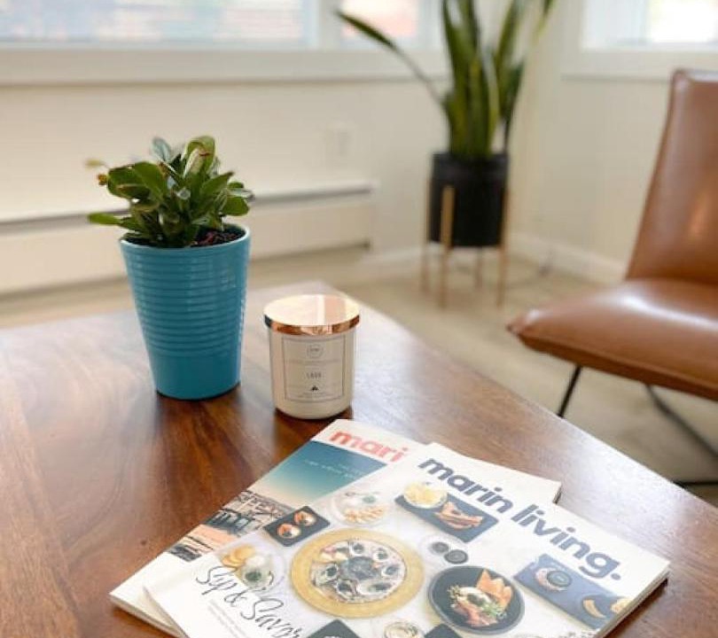 San Anselmo Apartment | Hip and chic one bedroom apartment