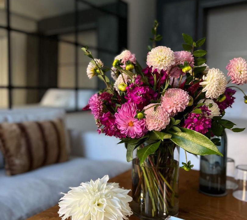 Calistoga Hotel | The Francis House