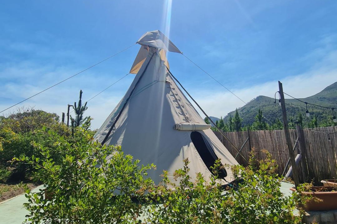 Witelsbos Other | Teepees Tsitsikamma Wolf Sanctuary
