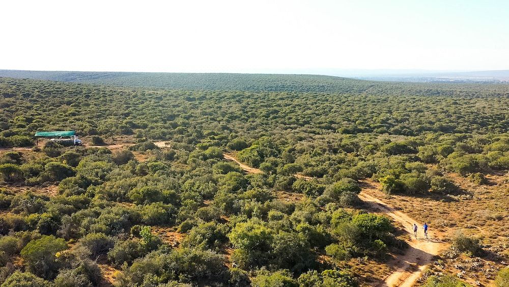 Photo of Outdoor in Addo