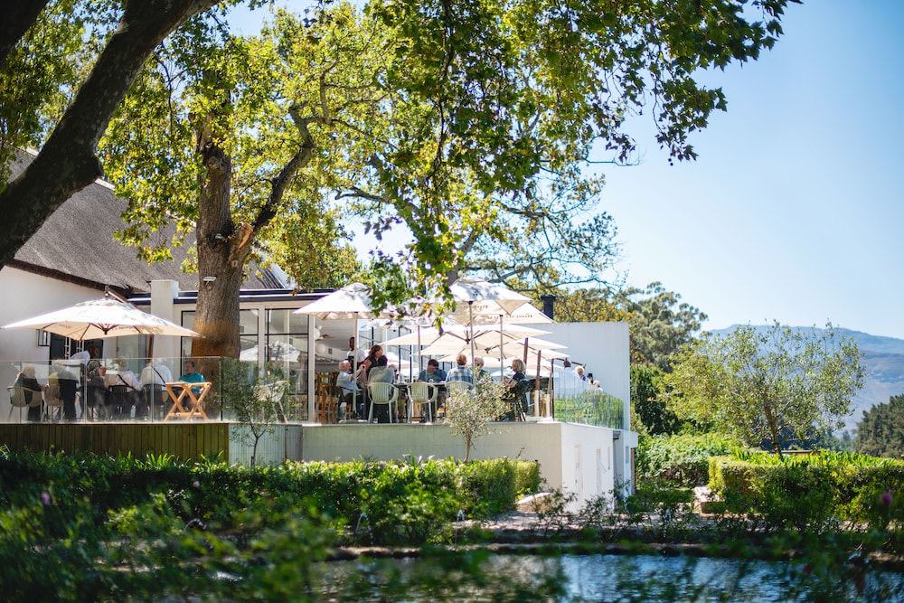 Photo of Others in Cape Winelands