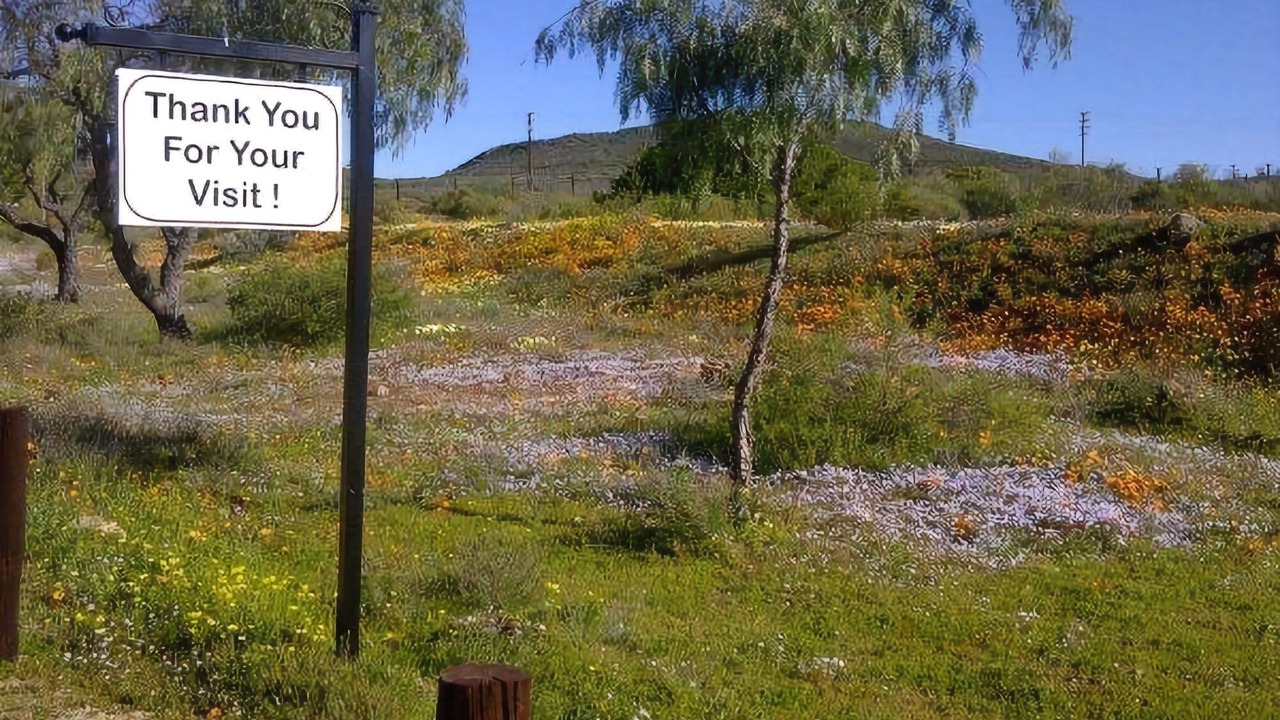 Photo of Others in Springbok