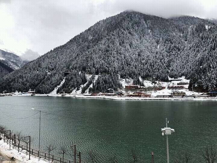 Photo of Others in Uzungol
