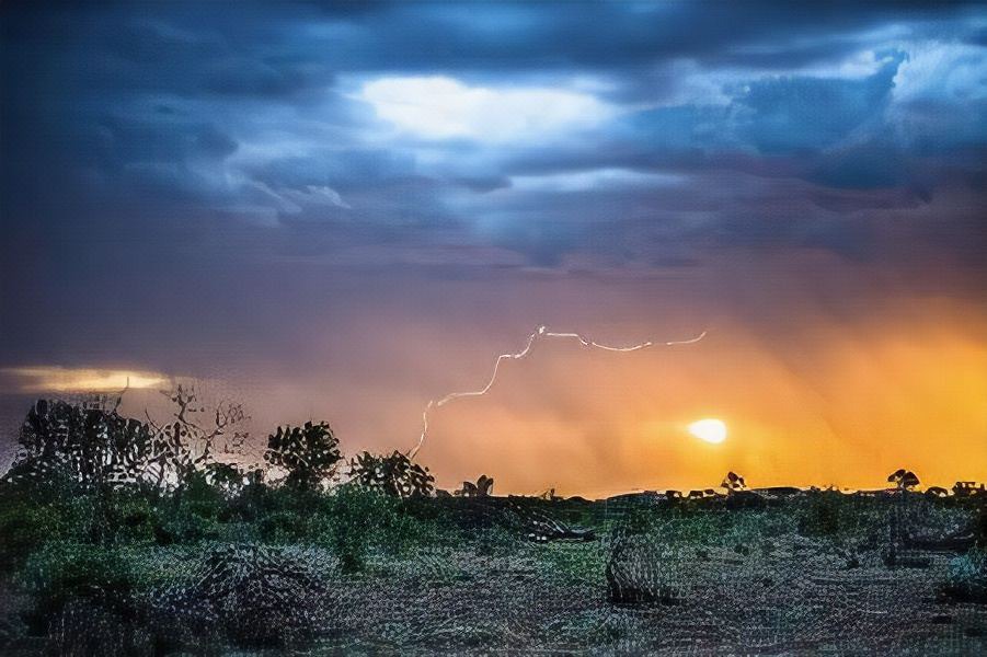 Photo of Outdoor in Madikwe Game Reserve