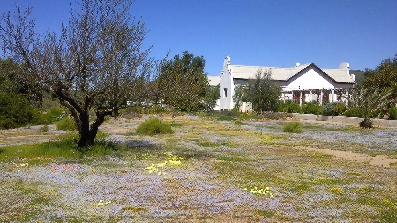 Photo of Others in Springbok