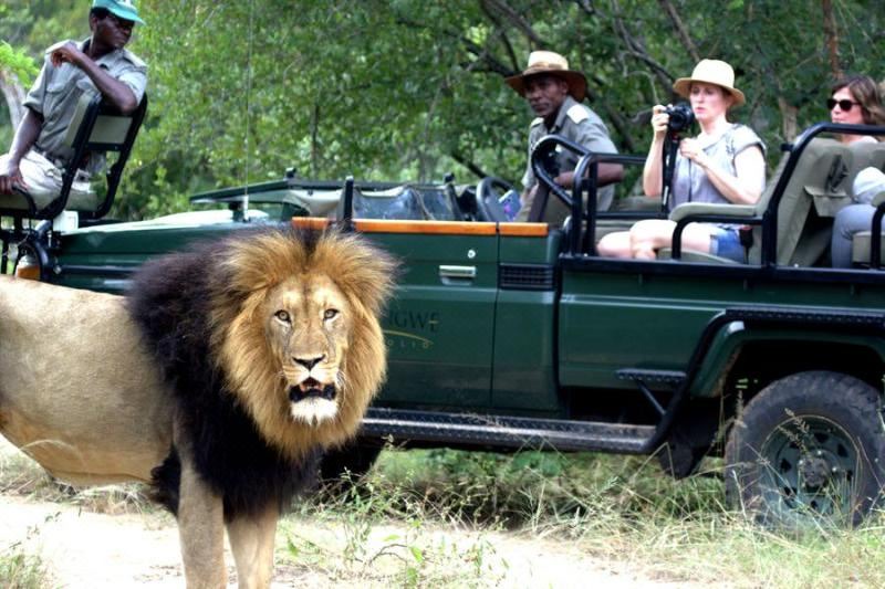 Photo of Human In Picture in Maruleng