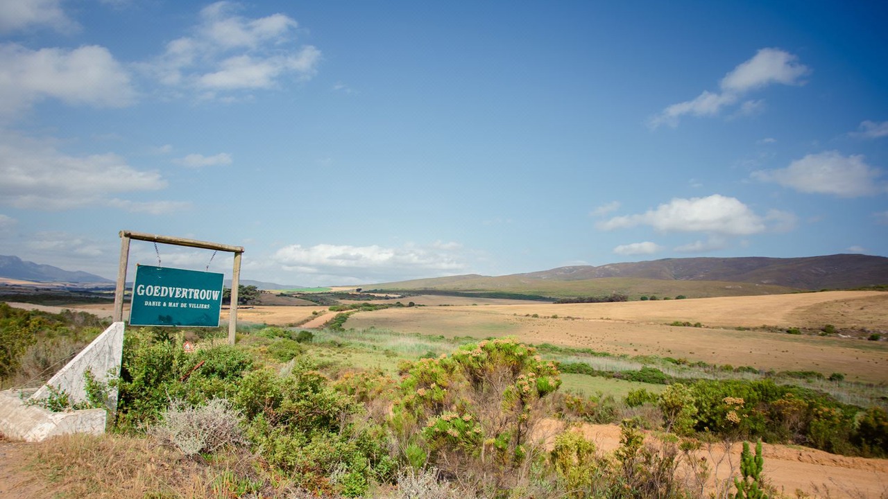 Photo of Others in Papiesvlei