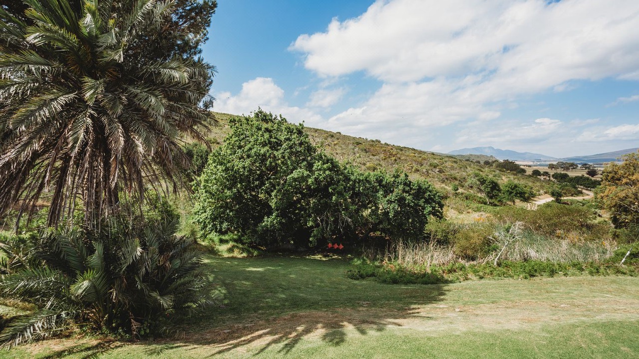 Photo of Others in Papiesvlei