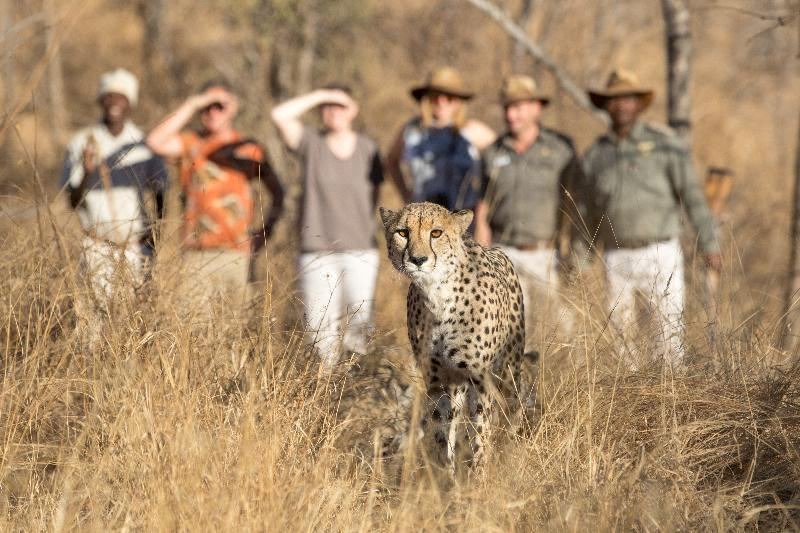 Photo of Human In Picture in Maruleng
