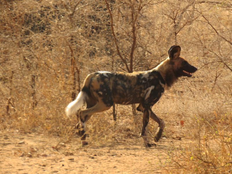 Photo of Others in Maruleng