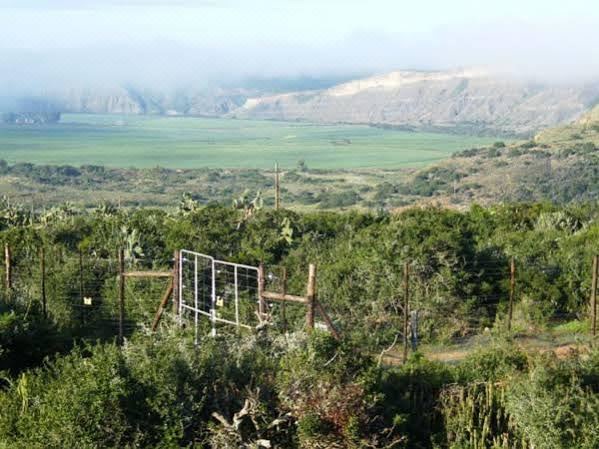 Photo of Outdoor in Addo